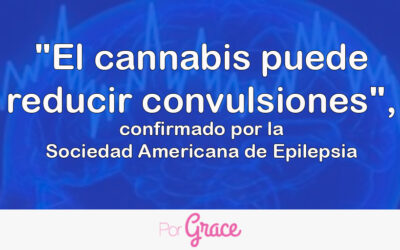 "El cannabis puede reducir convulsiones", confirmado por la Sociedad Americana de Epilepsia